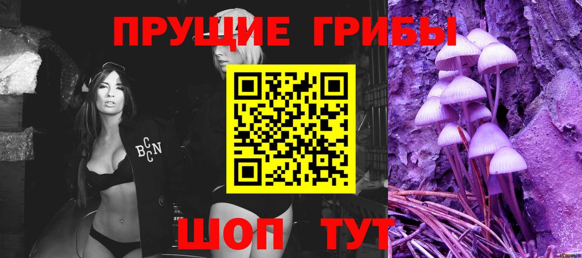Псилоцибиновые грибы Psilocybe Кировск