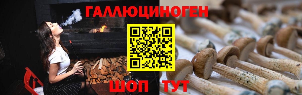 Псилоцибиновые грибы GOLDEN TEACHER  Псилоцибиновые грибы мицелий  Кировск  Вход с VPN 
